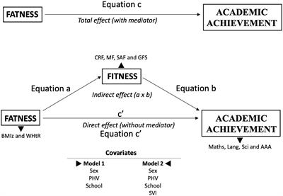 Physical fitness mediates the inverse association between fatness indicators and academic achievement, despite the school vulnerability of adolescents—The Cogni-Action Project